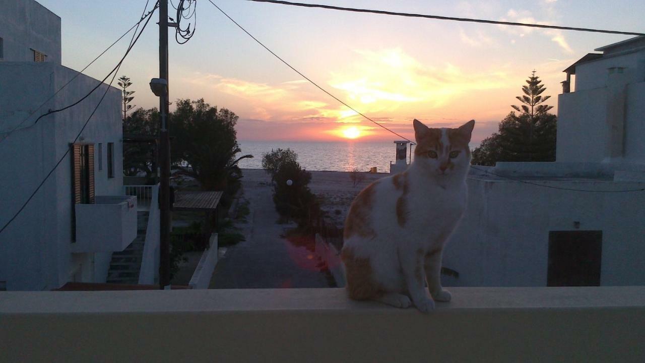 Holiday Dream Thalia Apartment Mastichari  Bagian luar foto